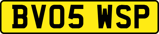 BV05WSP