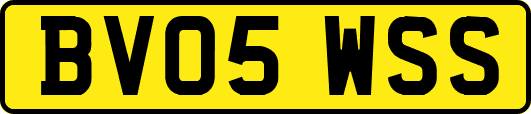 BV05WSS