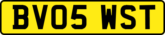 BV05WST