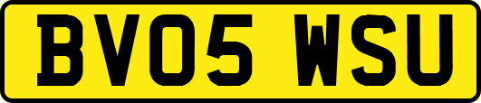 BV05WSU