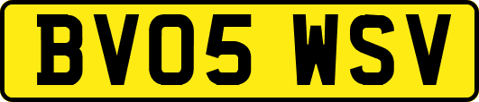 BV05WSV