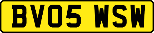 BV05WSW