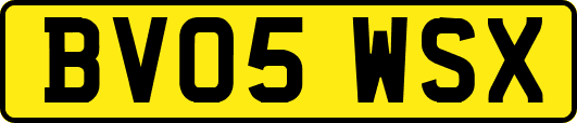BV05WSX