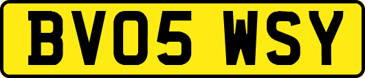 BV05WSY