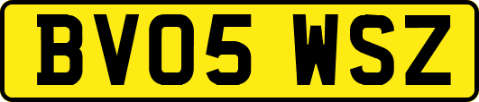 BV05WSZ