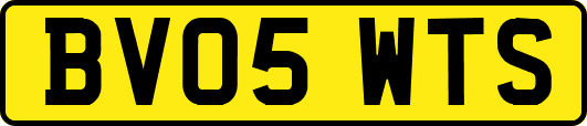 BV05WTS