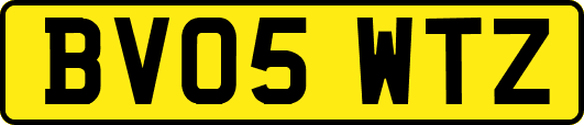 BV05WTZ