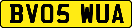 BV05WUA