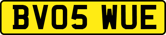 BV05WUE