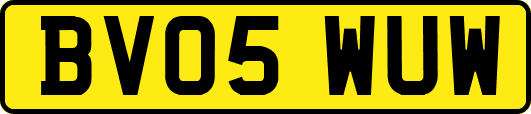 BV05WUW