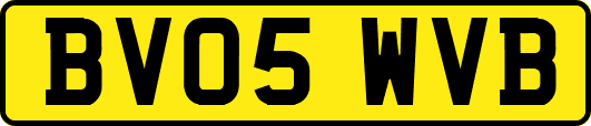 BV05WVB