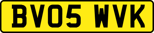 BV05WVK