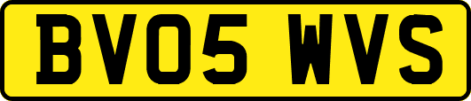 BV05WVS