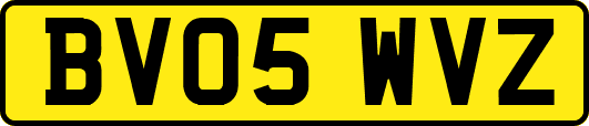BV05WVZ