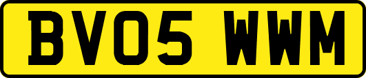 BV05WWM