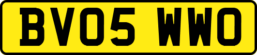 BV05WWO