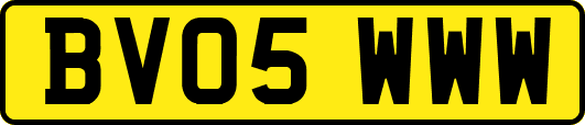 BV05WWW
