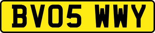 BV05WWY