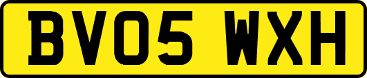 BV05WXH