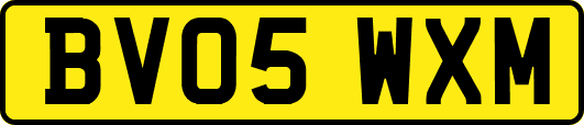 BV05WXM