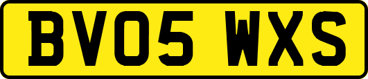 BV05WXS