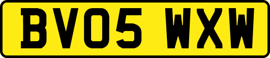BV05WXW