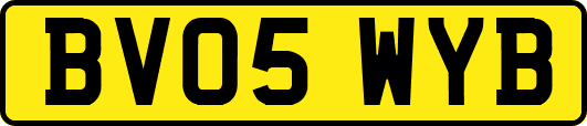 BV05WYB