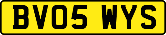 BV05WYS
