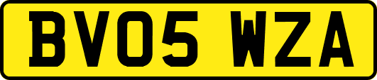 BV05WZA