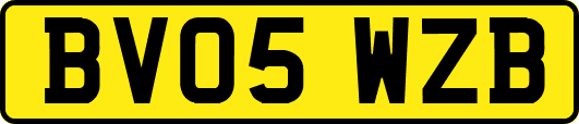 BV05WZB