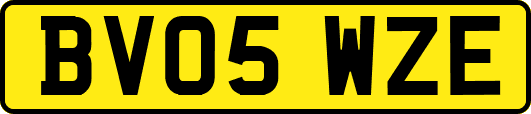 BV05WZE