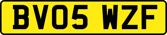 BV05WZF