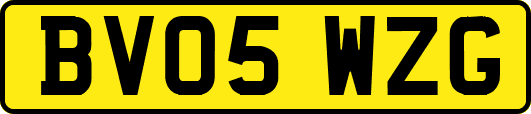 BV05WZG