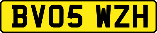 BV05WZH