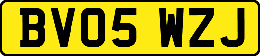 BV05WZJ