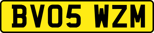 BV05WZM