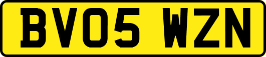 BV05WZN