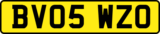 BV05WZO