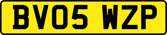 BV05WZP