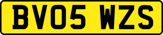 BV05WZS