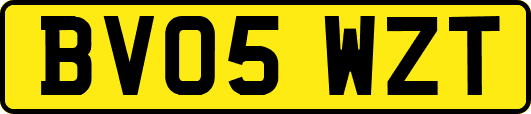 BV05WZT