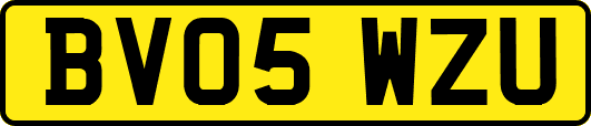 BV05WZU