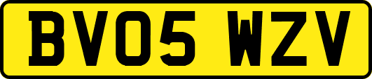 BV05WZV