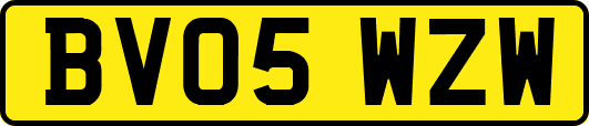 BV05WZW