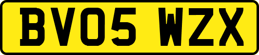 BV05WZX