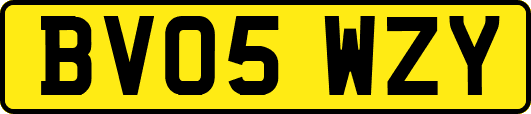 BV05WZY