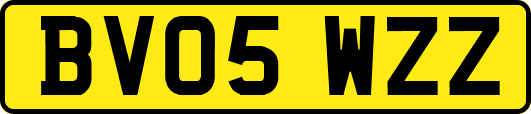 BV05WZZ