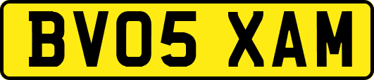 BV05XAM