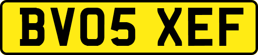 BV05XEF