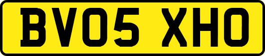 BV05XHO